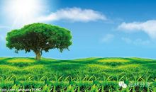 如果我变成了一棵大树