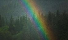 彩虹森林之旅