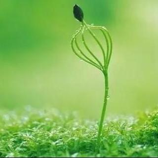 有些事情你要勇敢面对