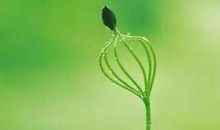 有些事总要勇敢面对