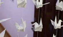 千千纸鹤