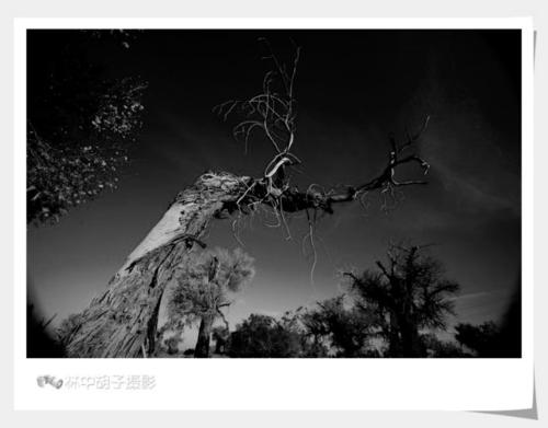 不屈不挠的生活