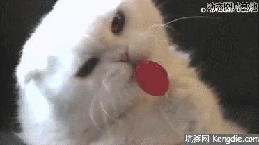 吃糖果