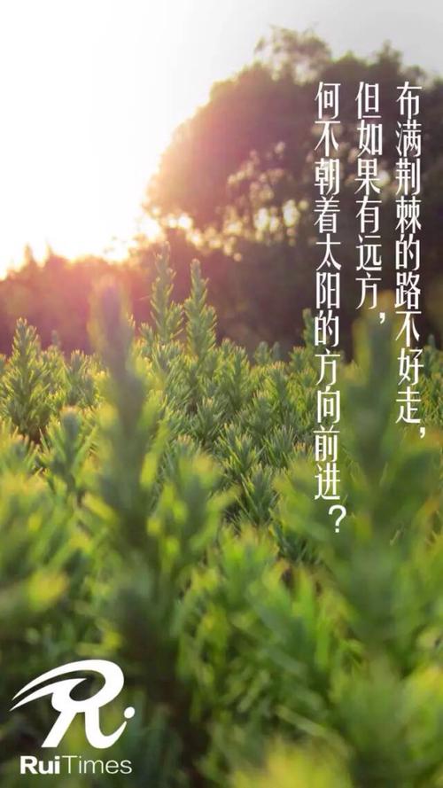 我不能忘记她的微笑