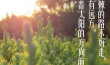 我不能忘记她的微笑