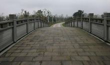 感谢神农盛装莅临我的青春