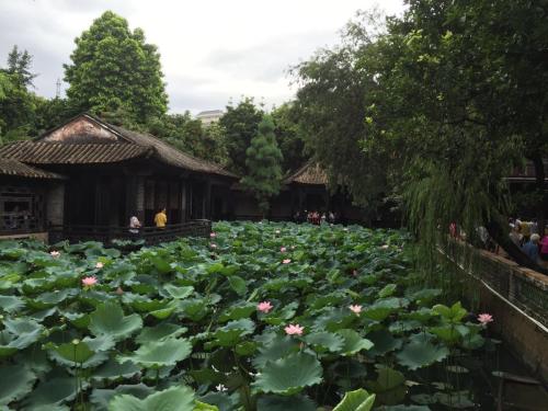 美丽的青晖花园