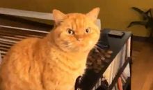 难忘那张严肃的脸