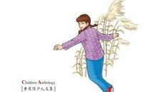 遥远的风铃读后感