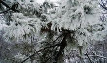 2021年的第一场雪