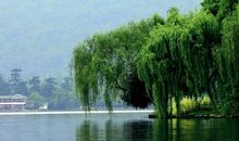 谦逊做人踏实做事