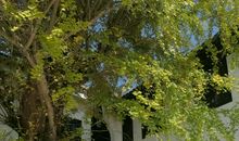 唱出生命的欢歌