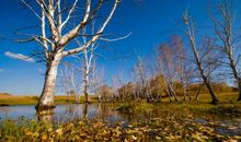 我爱家乡的秋季