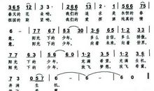 那群阳光下的少年