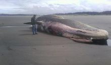 不要让心灵搁浅在海岸