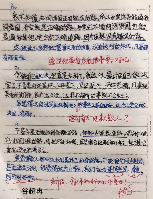 看完神奇的收费站