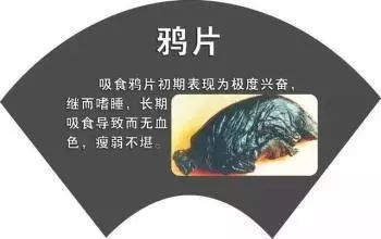 以生命的名义