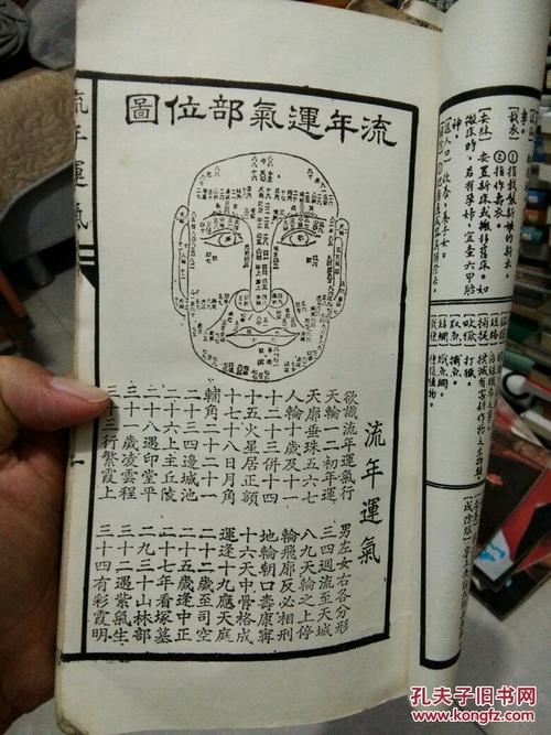 短暂的岁月