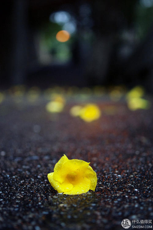 雨中生活