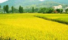 经历也是一种收获