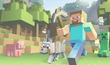 我和史蒂夫过一天