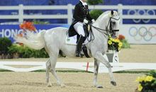 搭乘你稳健的步伐