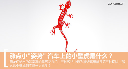 小壁虎的故事
