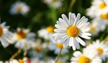 在生活中沉淀自我