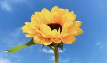 在人生路上我学会许多