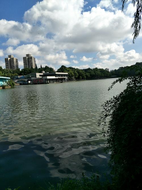 难忘的学习