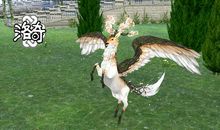 倾听夏季的歌声