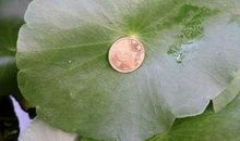 心灵的三把小伞