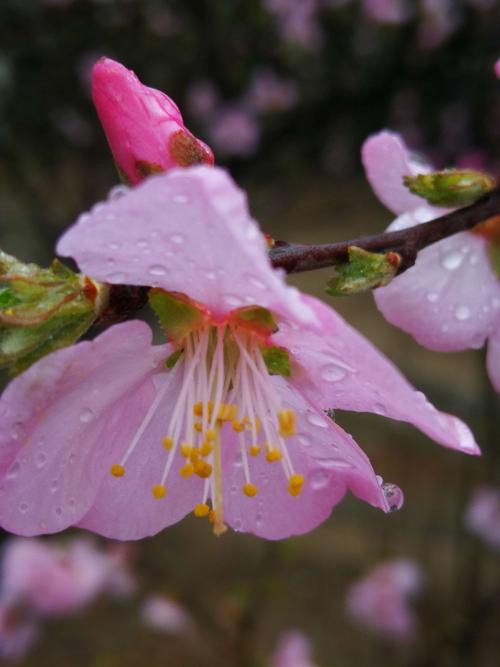 好下雨