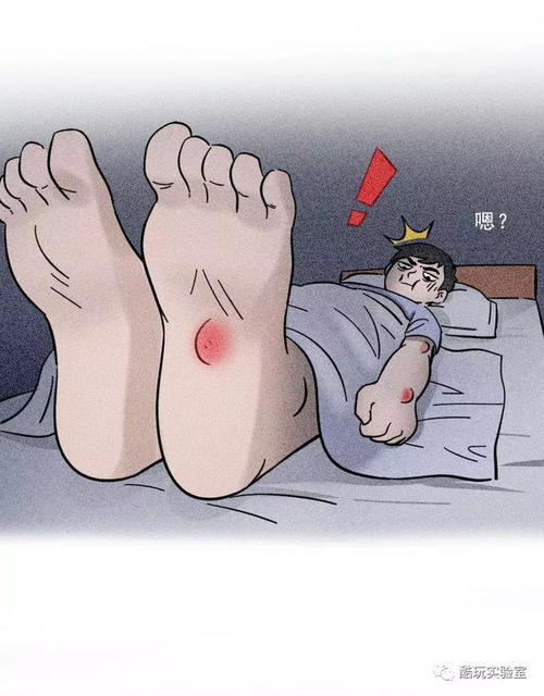 蚊子的叙述