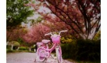 童年里的樱花雨