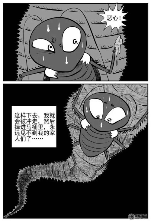 我和蟑螂PK