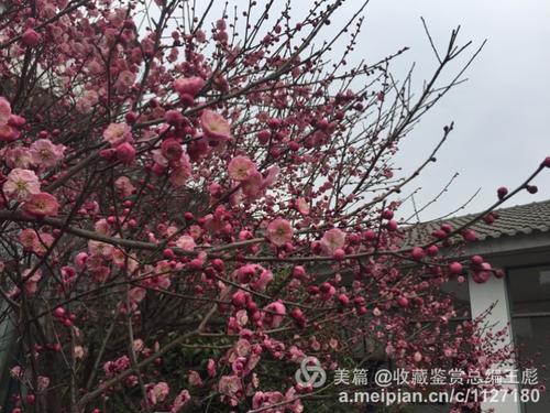 那种新鲜