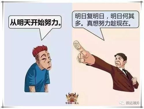 为什么不努力