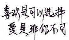 留在记忆深处的那个它