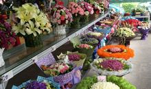 藏在心里的温暖