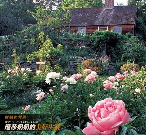 妈妈的花园