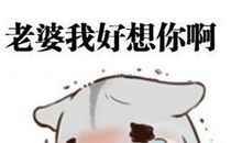 我的表情包里没有悲伤