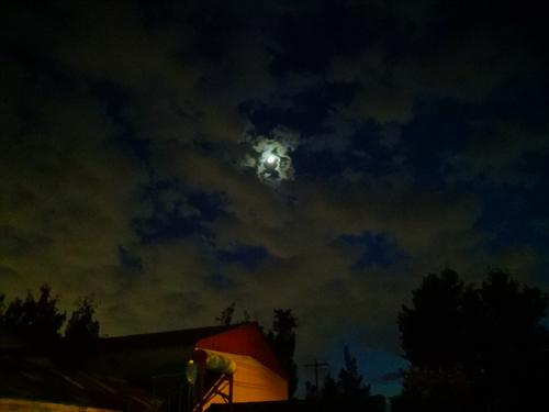 回到朦胧的夜晚