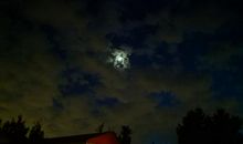 朦胧夜色中的背影