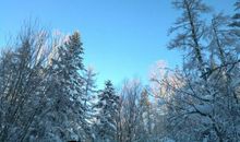 只是因为那场雪