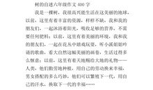 什么的自述作文400字