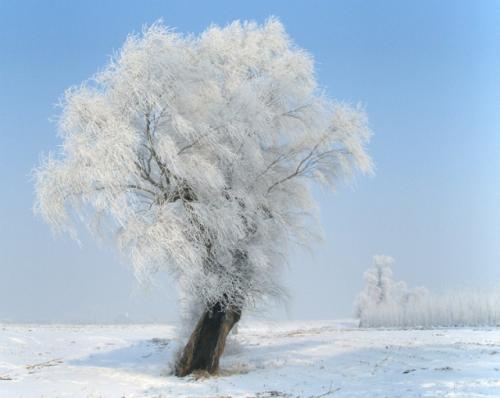 下雪的季节
