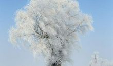 白雪飘飘的季节