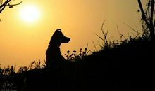 这样的人让我想念