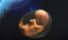 热爱生命，珍惜生命